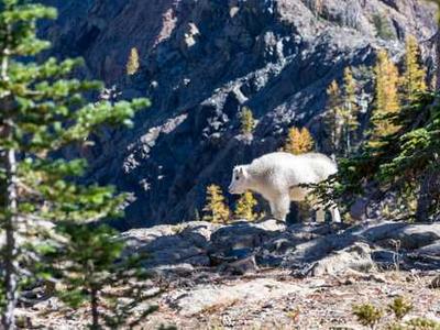 วิธีการเลือกคีย์เวิร์ด